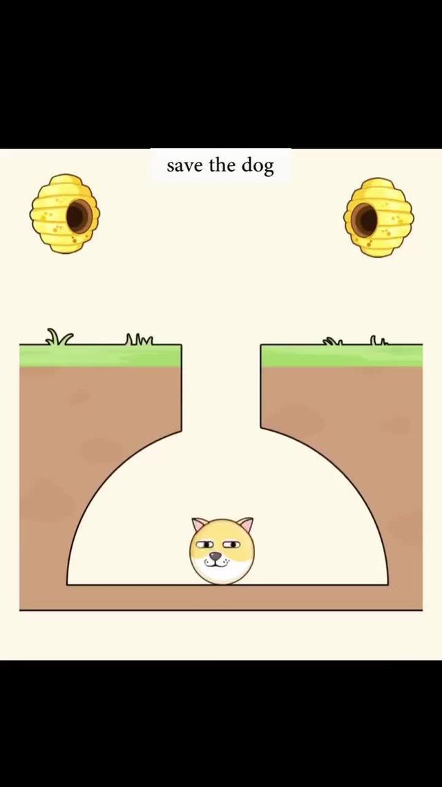 Only 10% of people can save this dog〒_〒