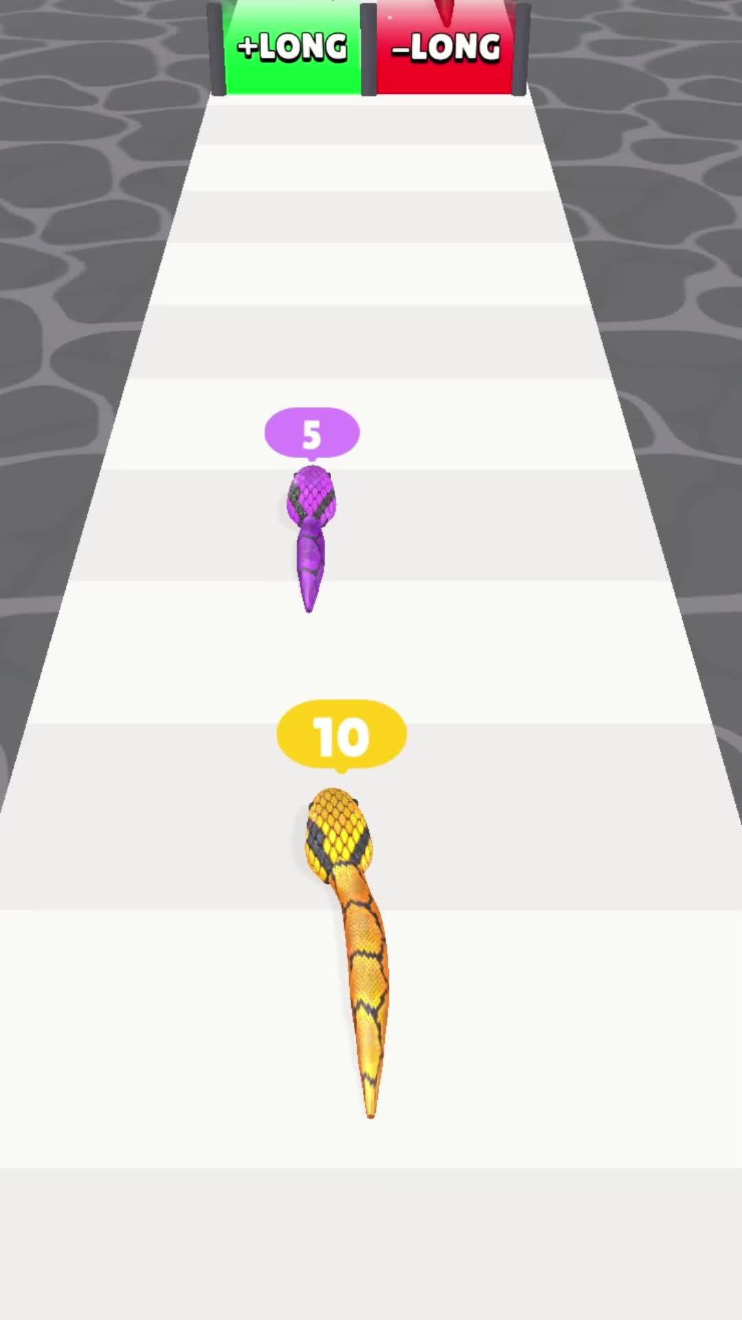 Try to reach the end whole, make the biggest snake