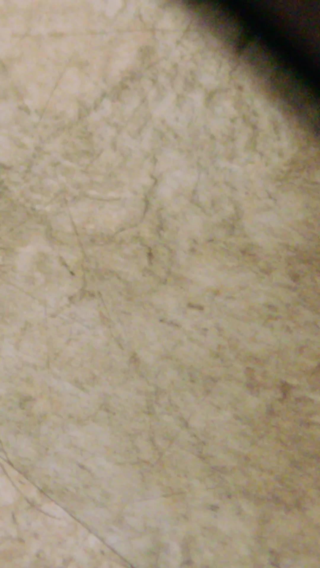 I lost my mom in a car crash, and later I got to know that the car crash was staged by my greedy father!! I am now going to reveal his ugly truth and leave him with no wealth at all!! #pocketfm #Trending #TrendingShow #AudioSeries #Drama#EvilFather#Lonely Daughter#Family inheritance#stepmother#step sister