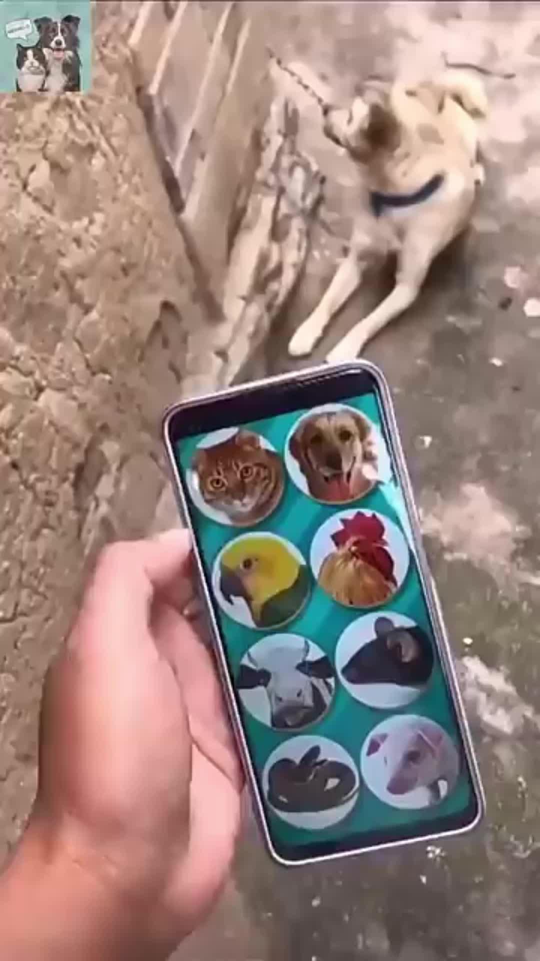 Prank with your Voice changer!!!!