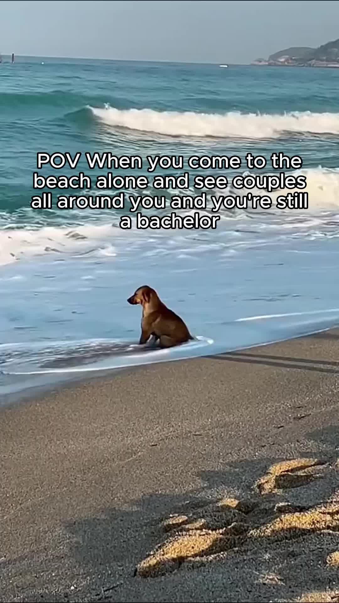 Try this fun app for FREE!