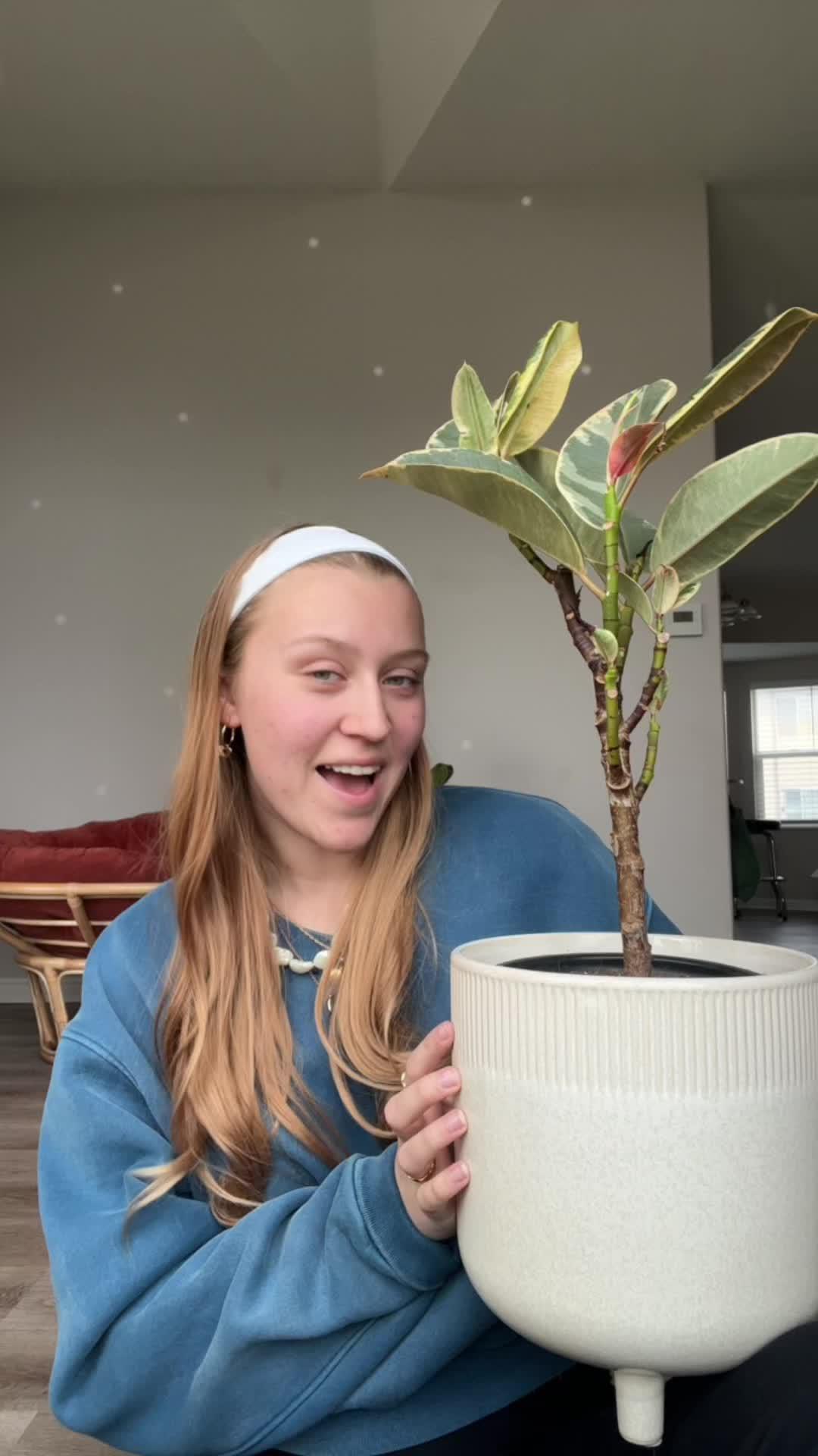 Identify any plant & diagnose plant diseases instantly!