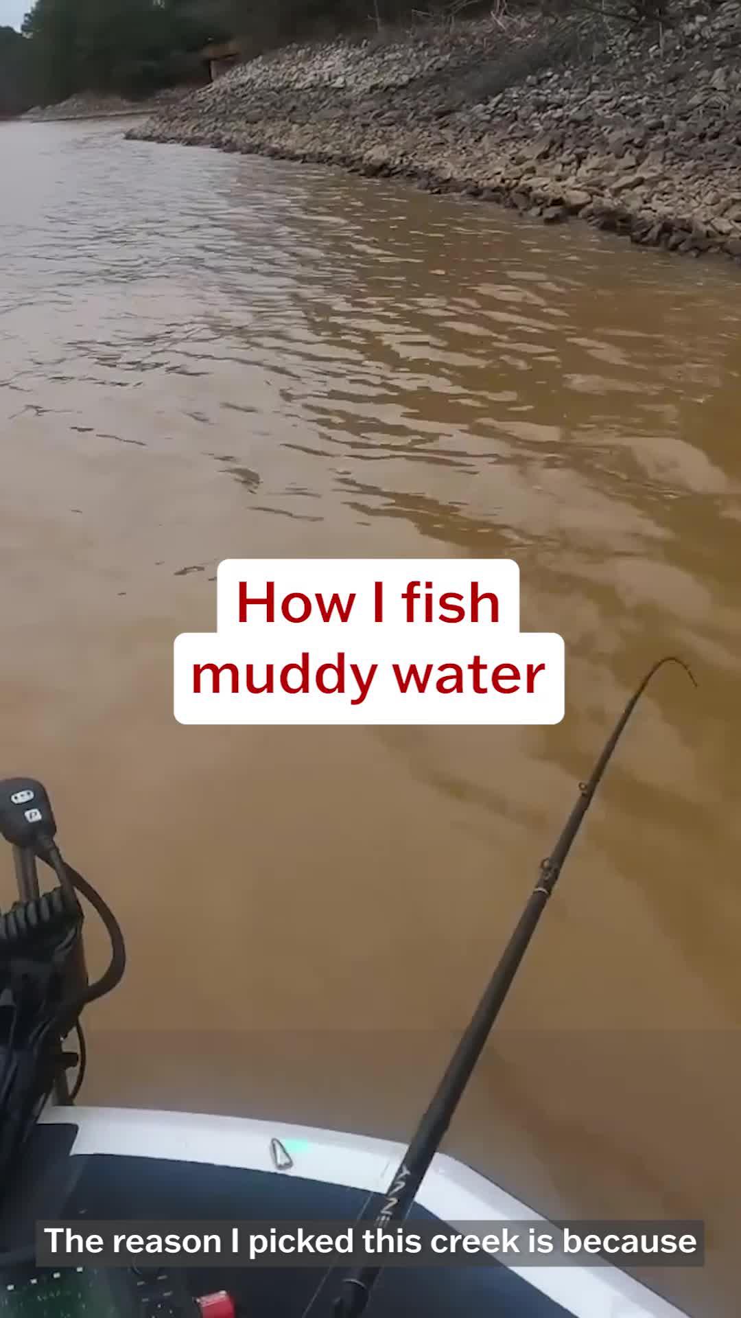 Fish smarter than other anglers with the DeepDive App! Download today and get your Free 1-week Trial