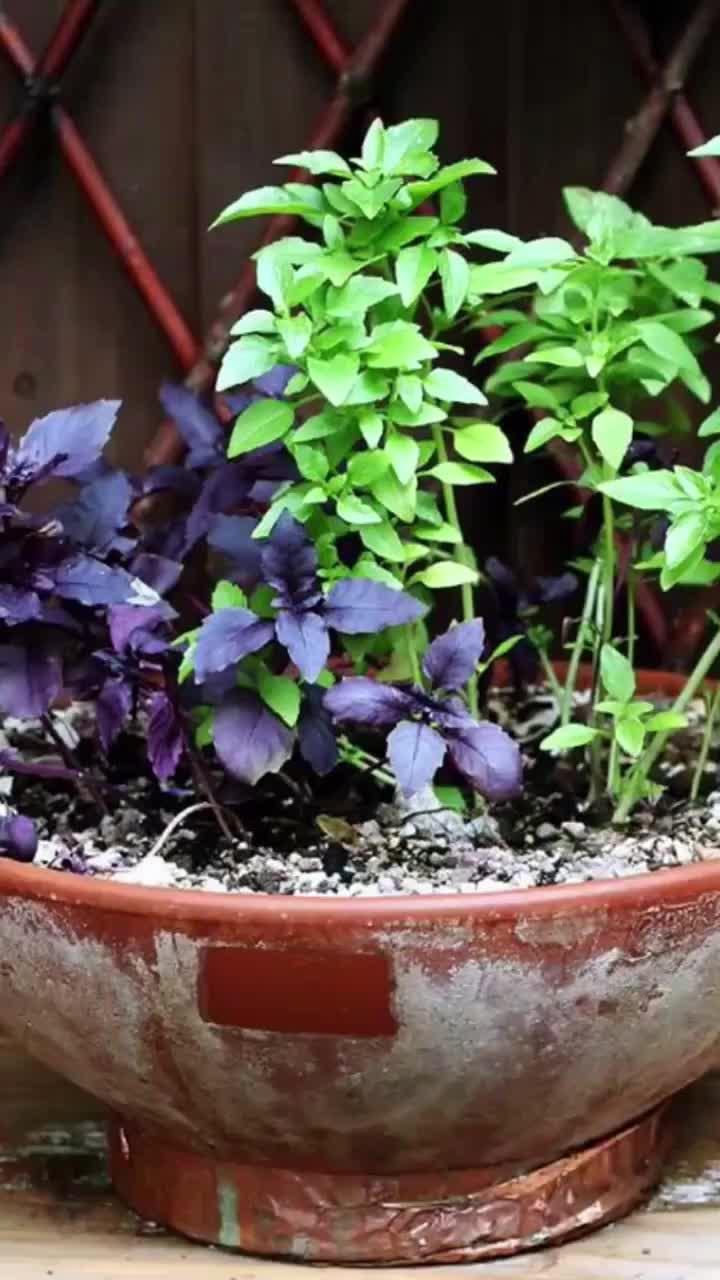 Free time part-time income