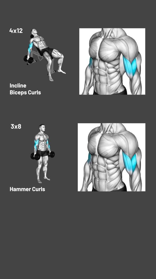 Accelerate your progress in the gym!