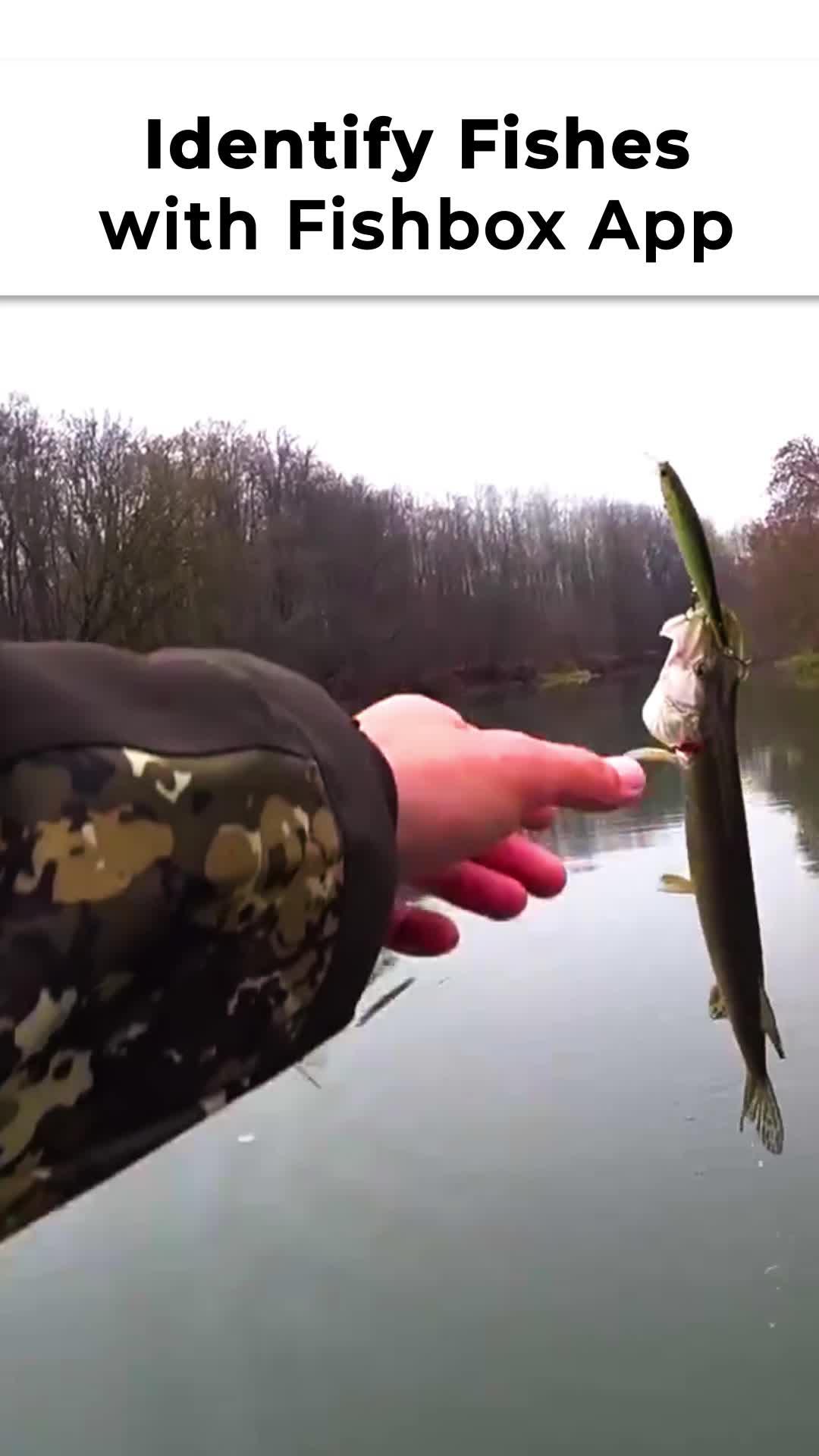 Find the best fishing spot with real-time mapping and expert tips