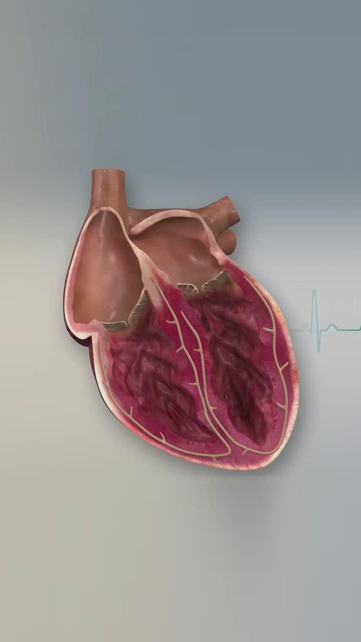 Test your heart rate anytime, anywhere