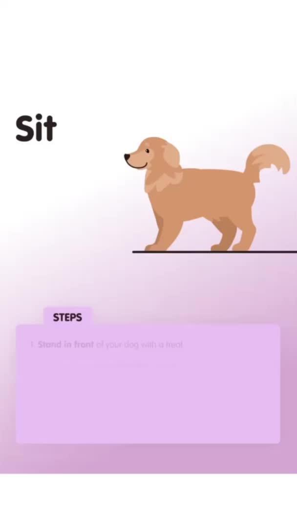 Dog Training App №1 in US