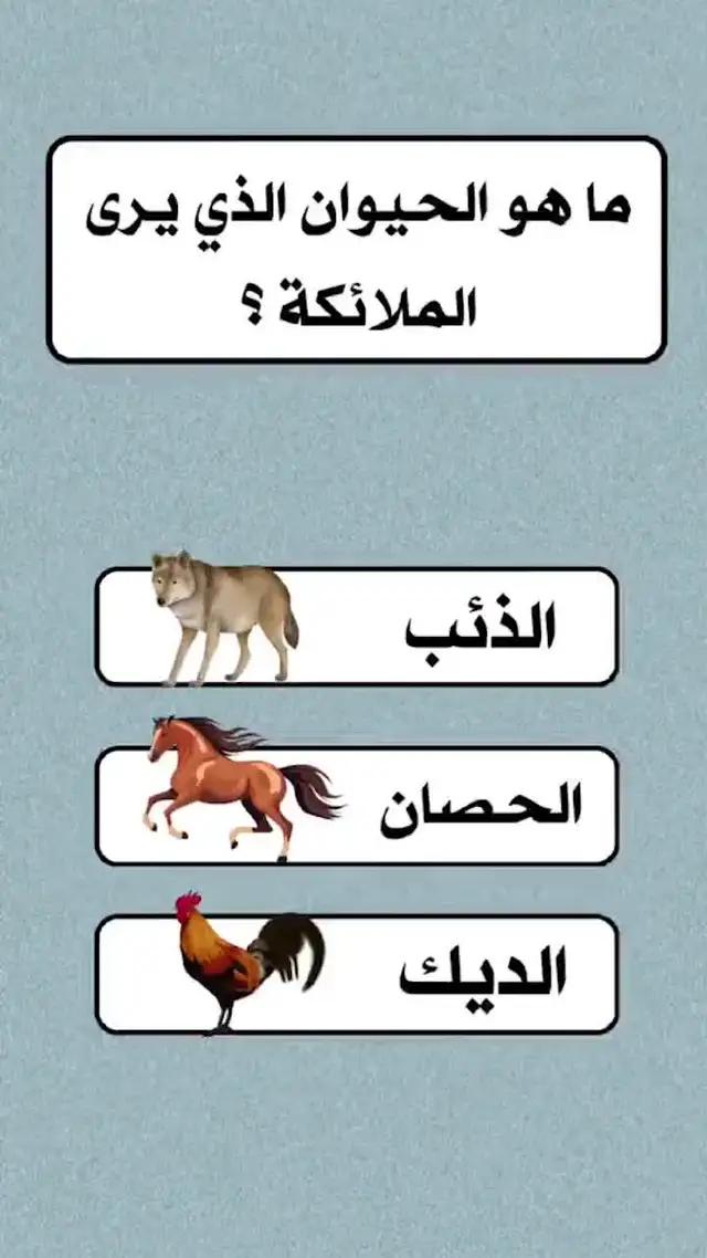 اسئلة واجوبة