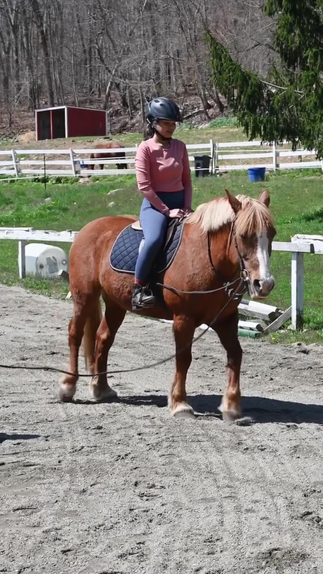 Ride With Us In Jorvik!