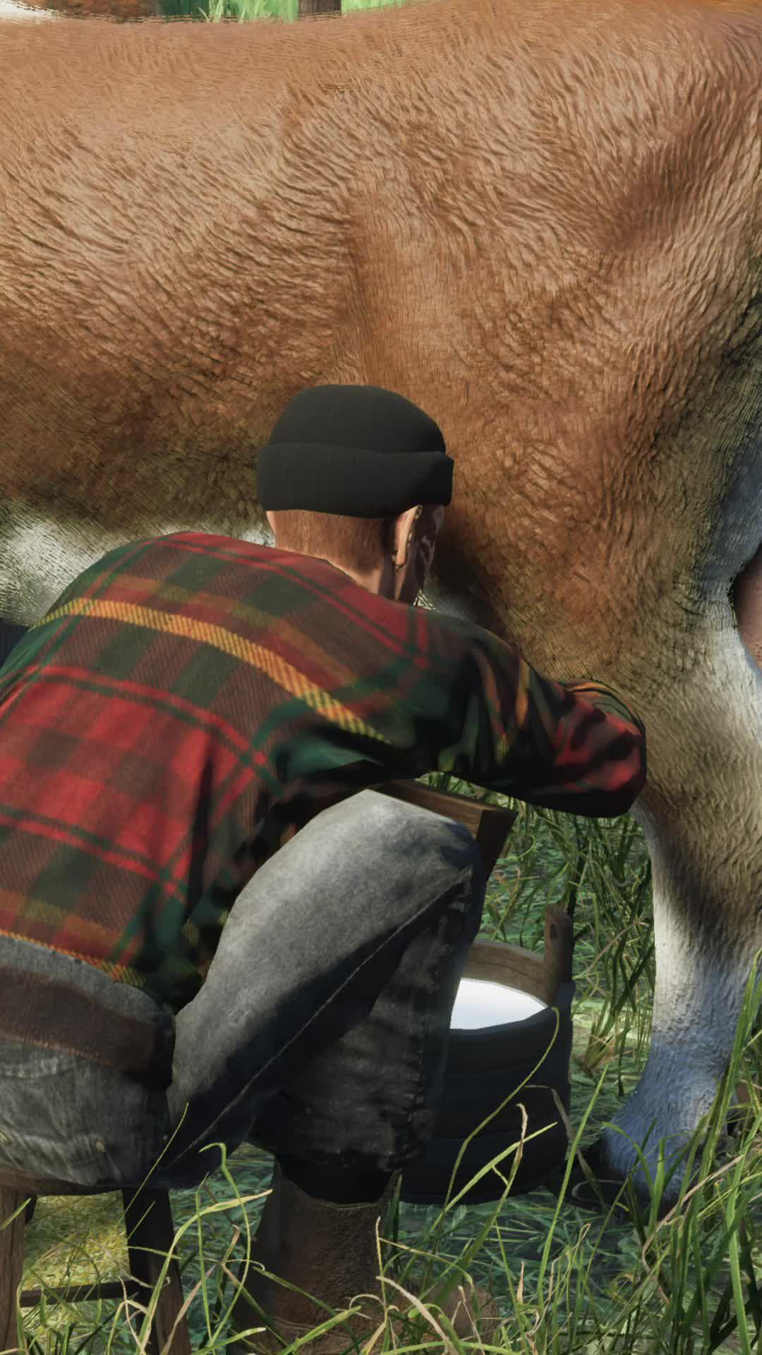 Enjoy the best farming experience!