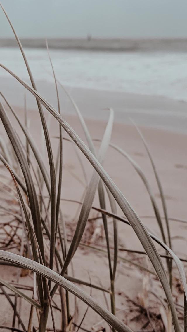 Travel smarter with Foresyte