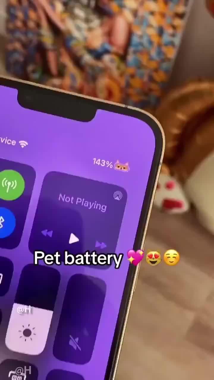 OMG it's super cute!