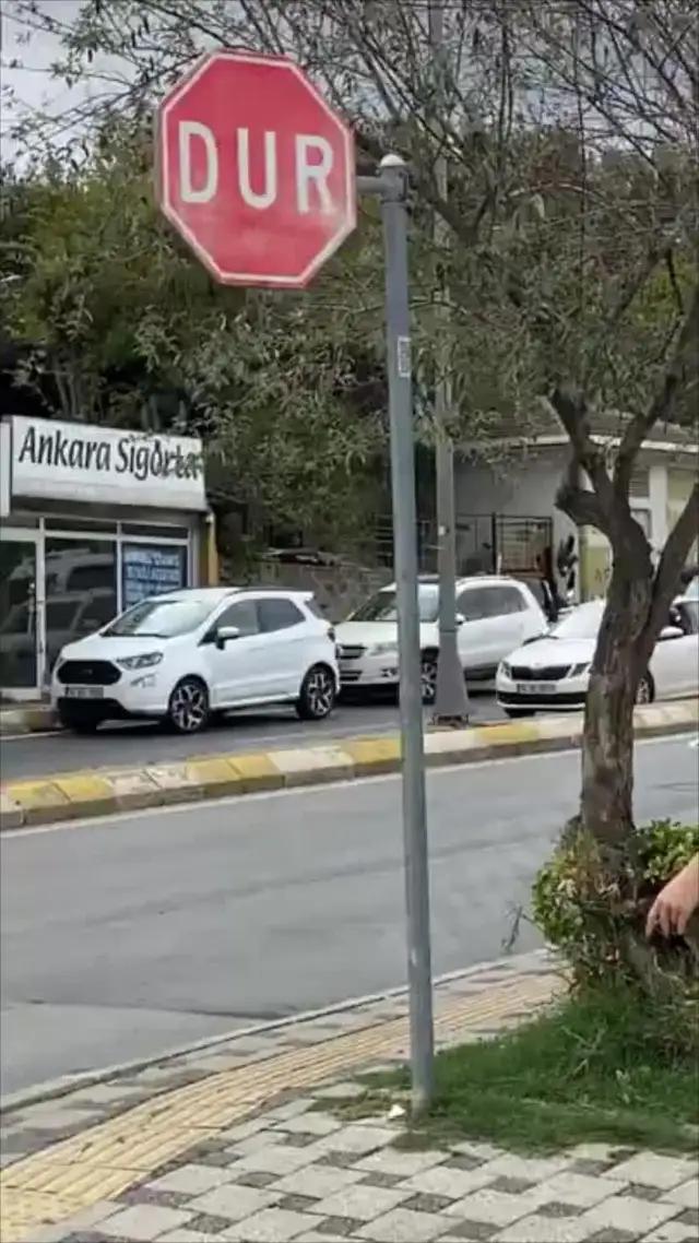 أفضل مترجم كاميرا / مترجم لا يمكن أن يفوتك.