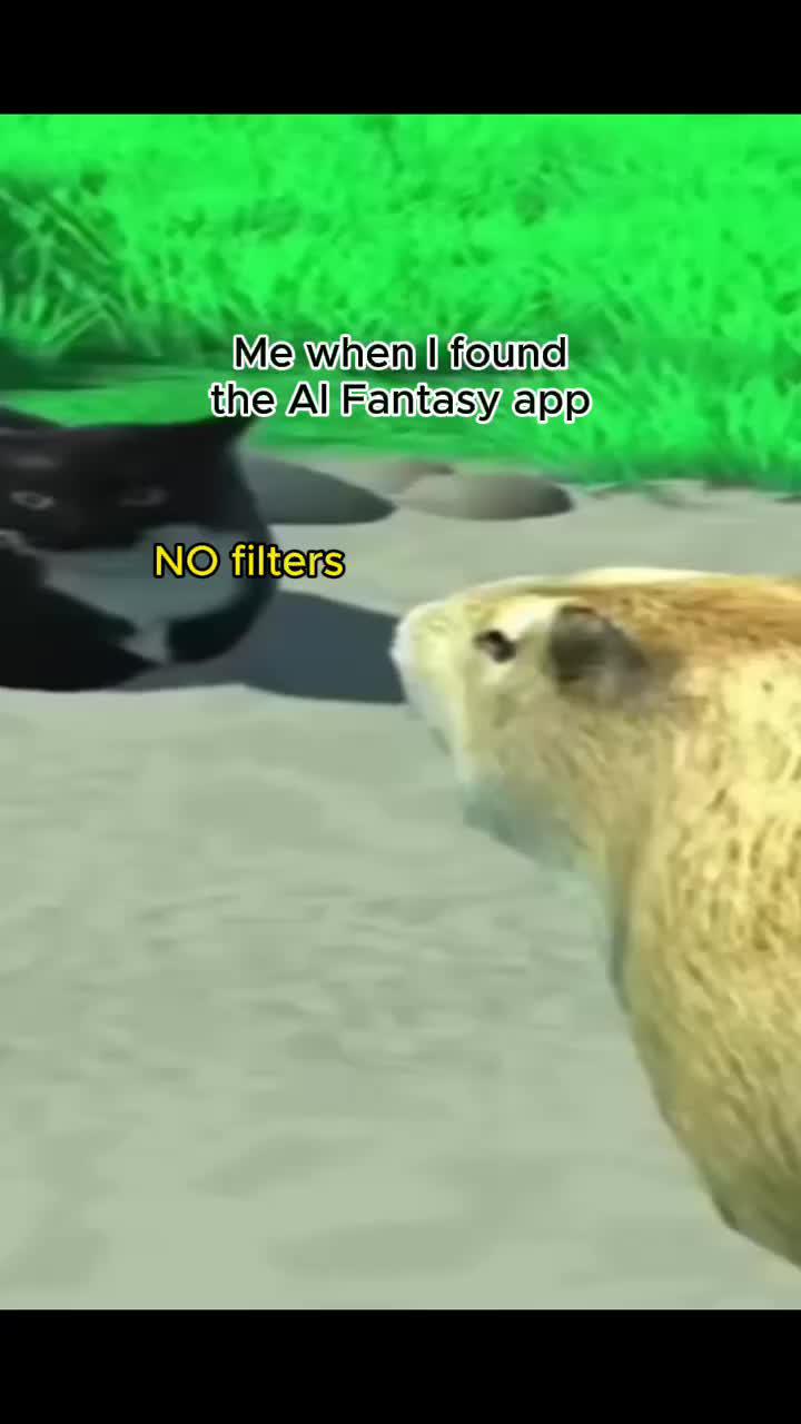 NO FILTERS, Chat freely!