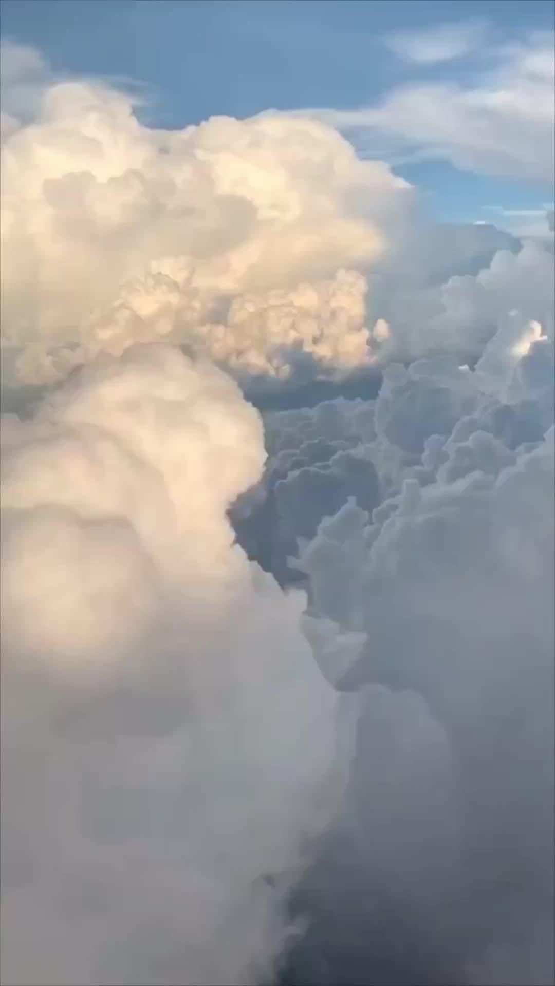 Free Word Search Game