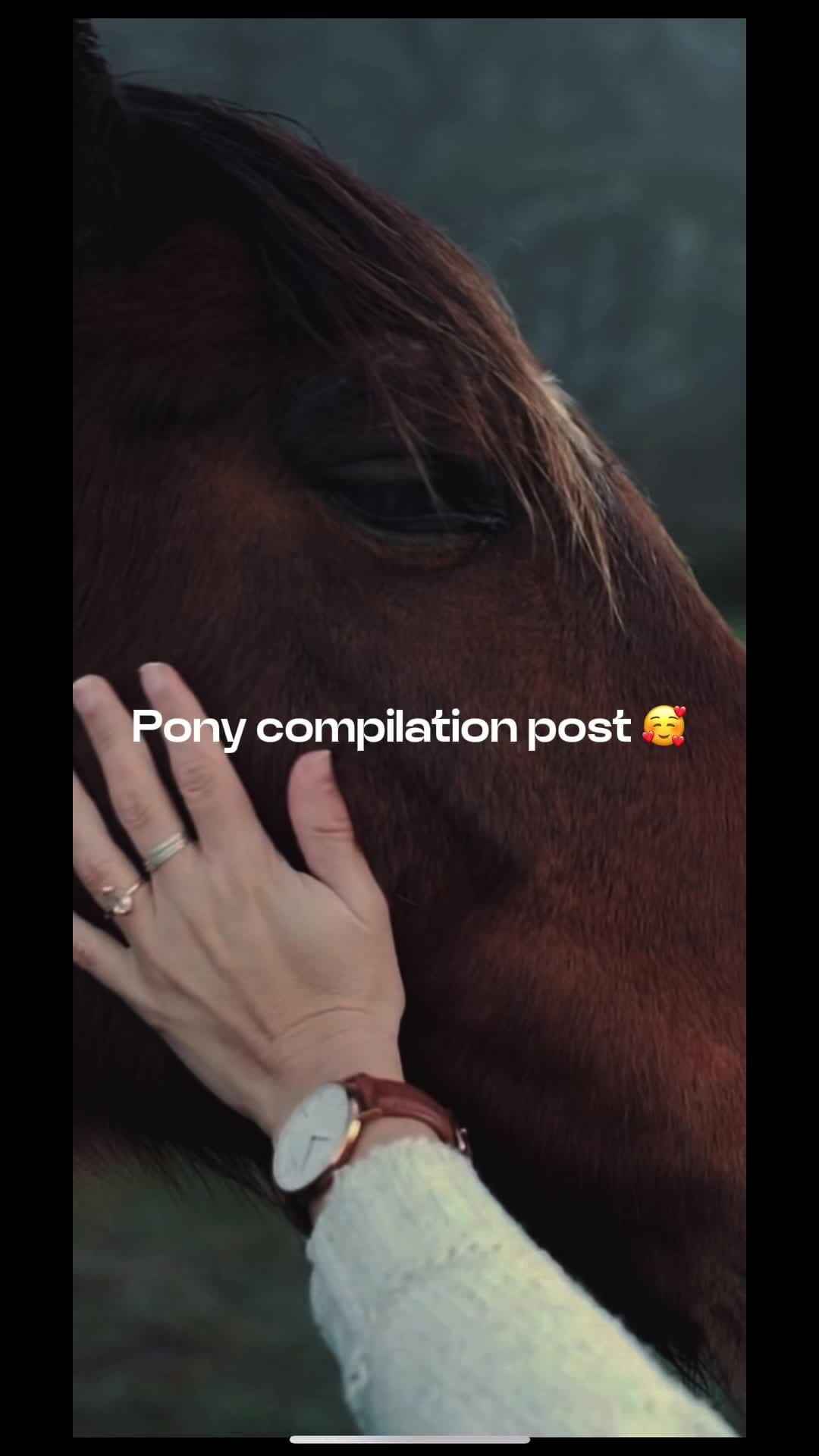 Find them all on the LiveEQ app FREE!