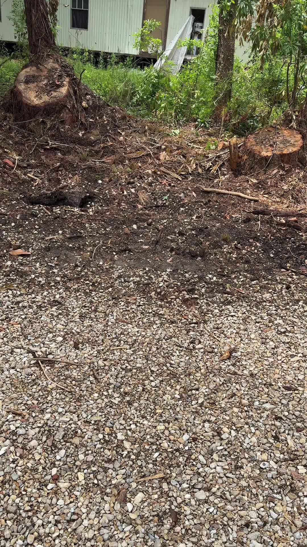 Free up iphone storage in seconds with Cleanup