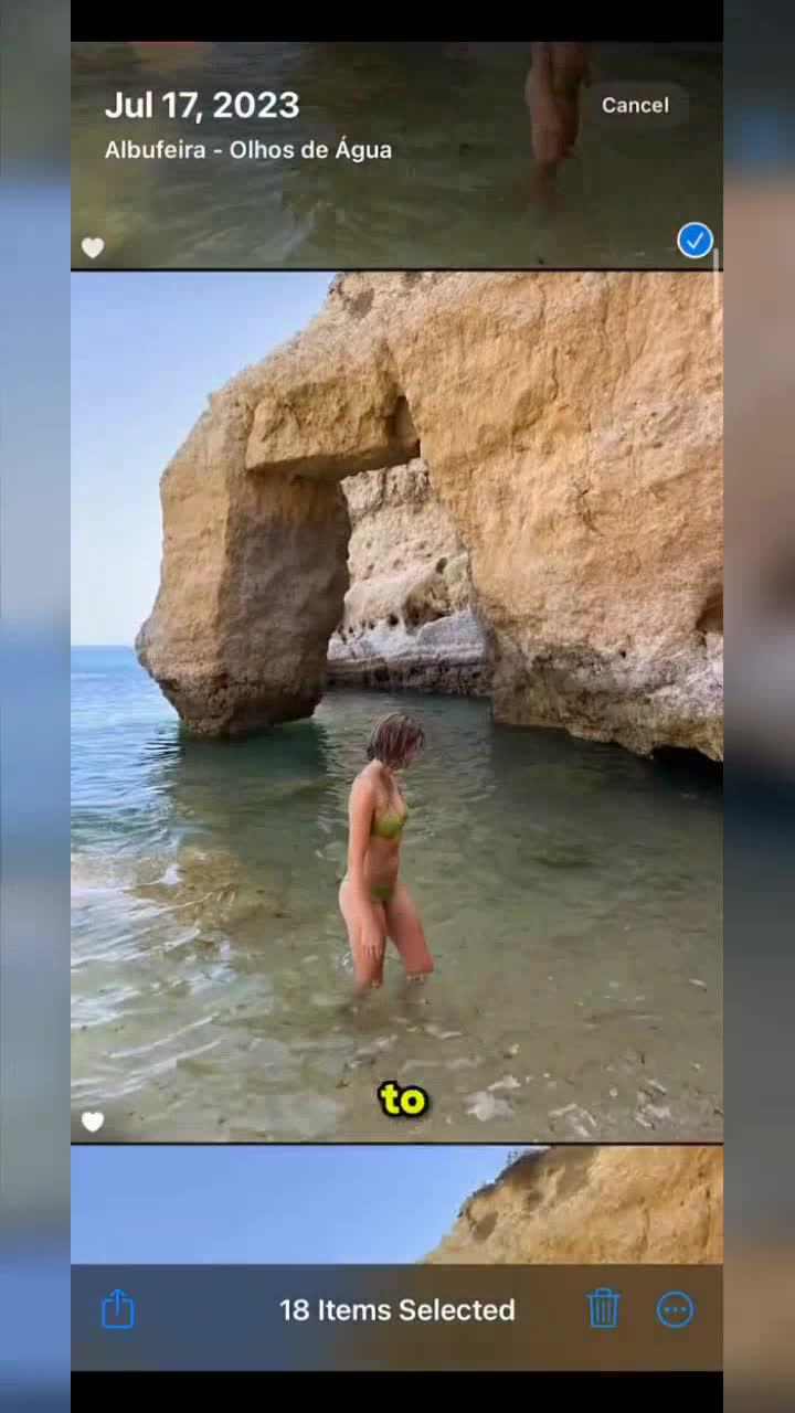 Your Ultimate Camera Roll Organizer