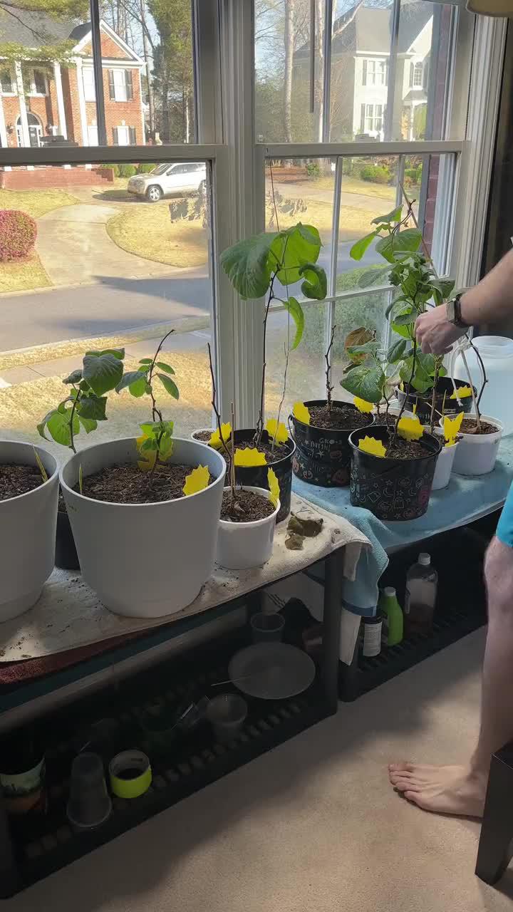 Track your plants' progress. Get personal notifications on plant care
