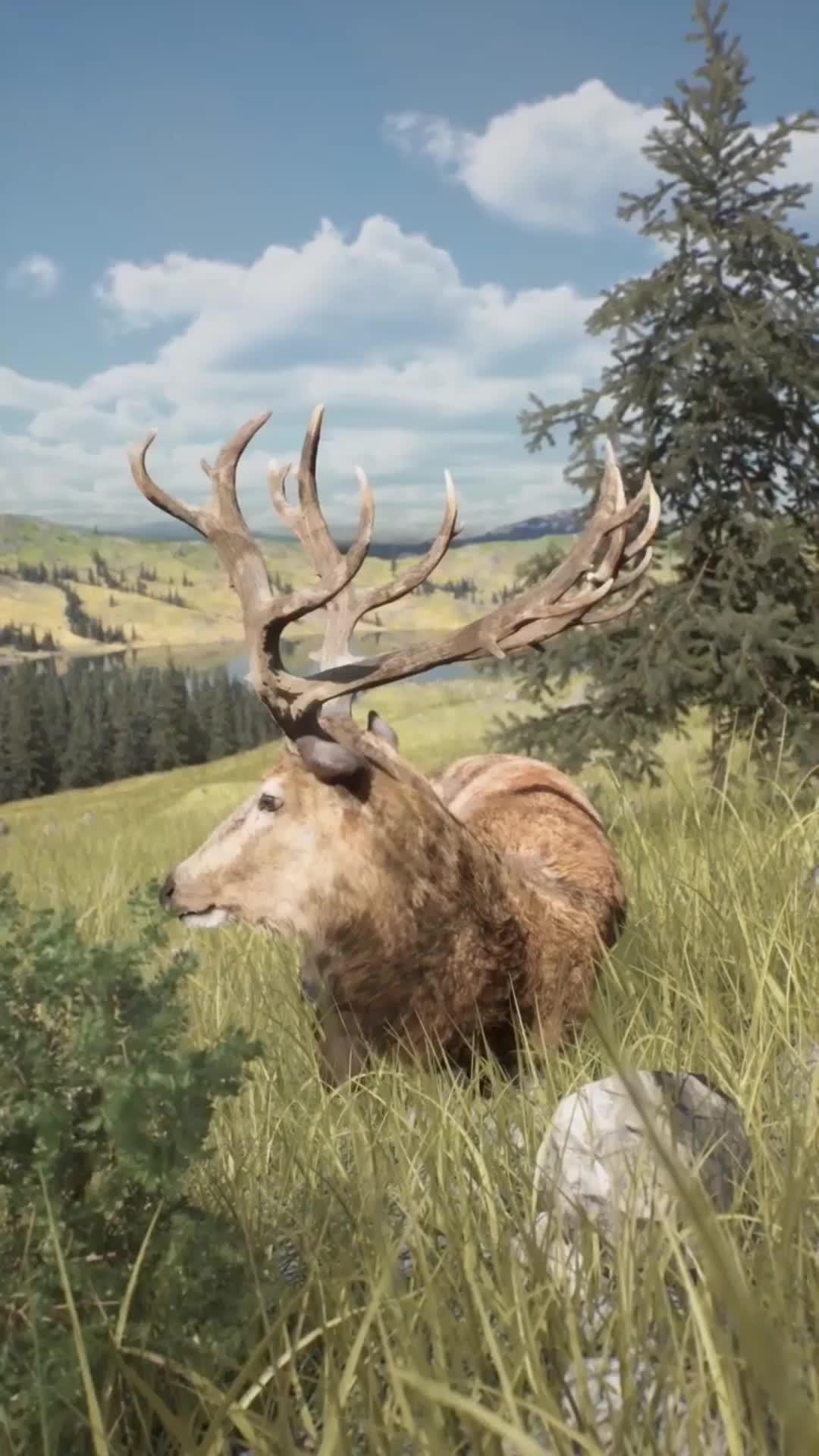 Free gift code: <deerhunter>  Only Today!!!