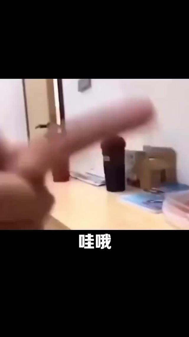 魔性搞怪萌寵手遊，上線共享千萬連抽！！