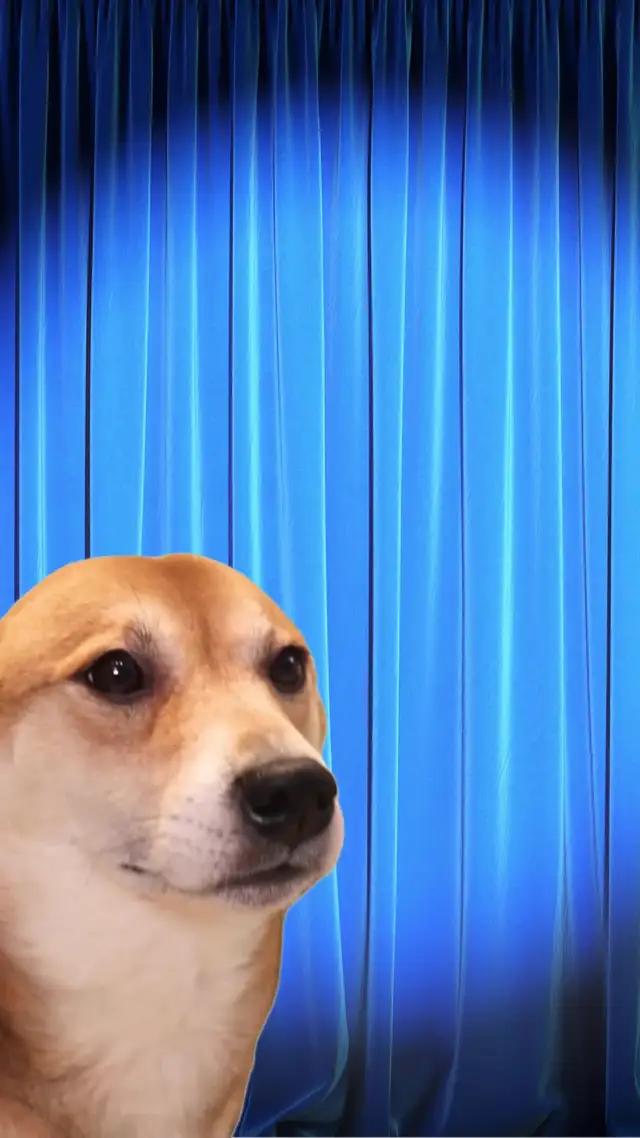 Hemen Yapı Kredili Ol! Yapı Kredi kartınla Biletix'ten alacağın biletin yarısı sana hediye!