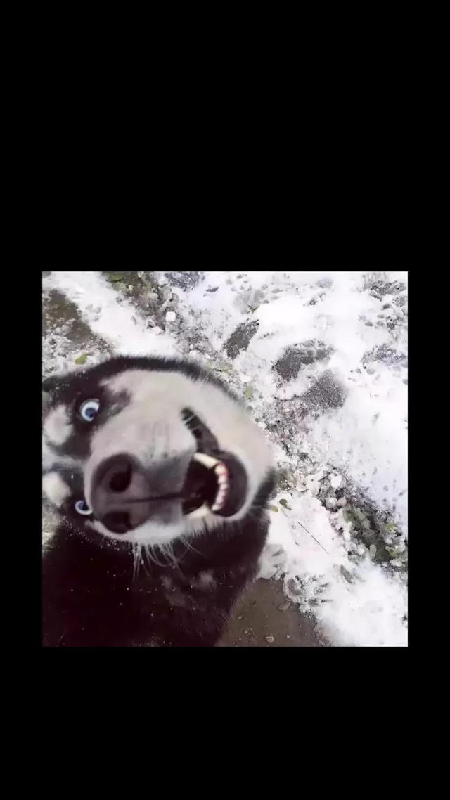 Watch movies and enjoy the time!
Search 777 in this app!