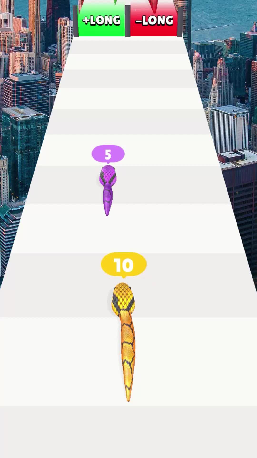 Try to reach the end whole, make the biggest snake