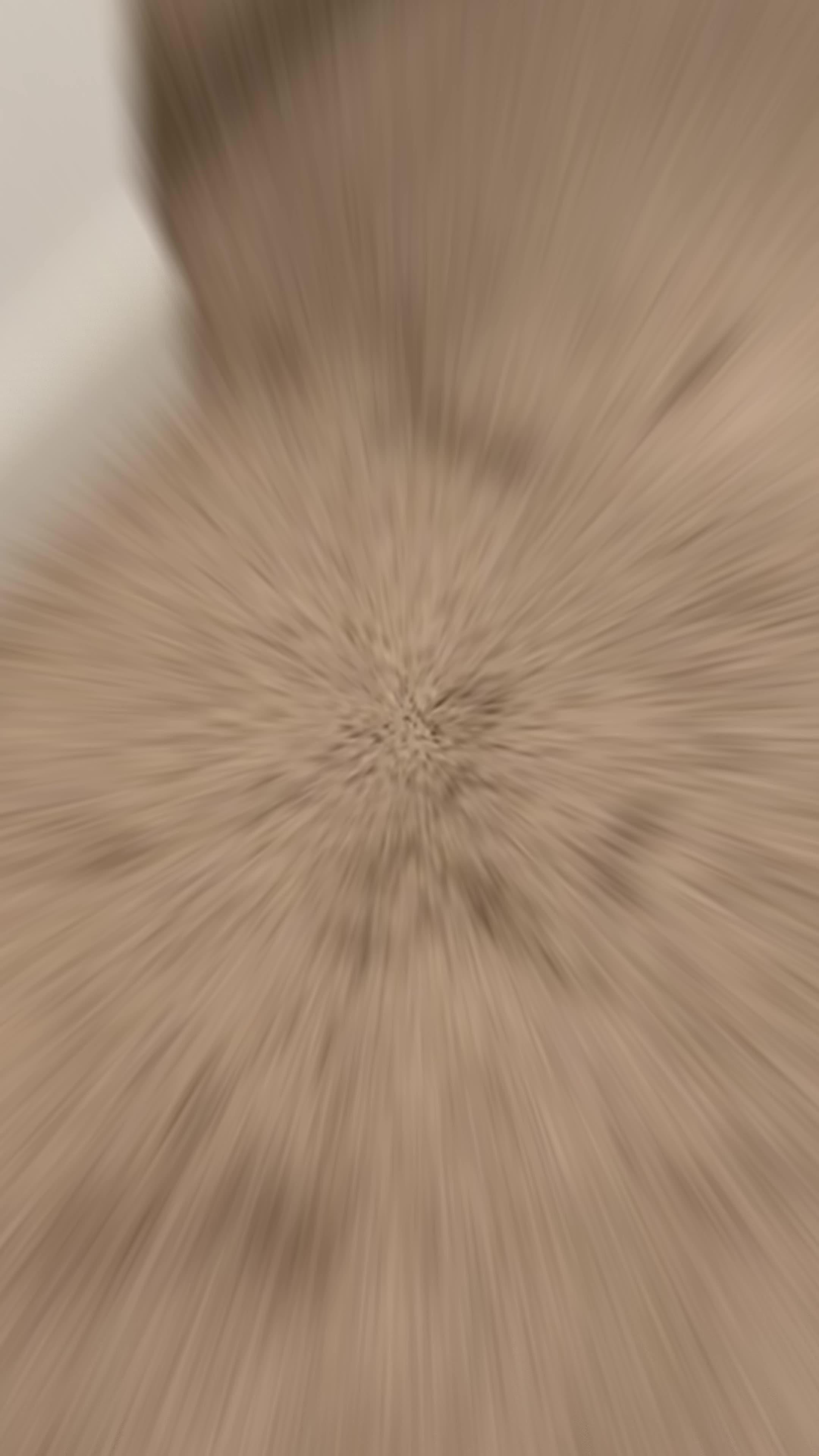 Set exclusive widgets & themes for your Phone