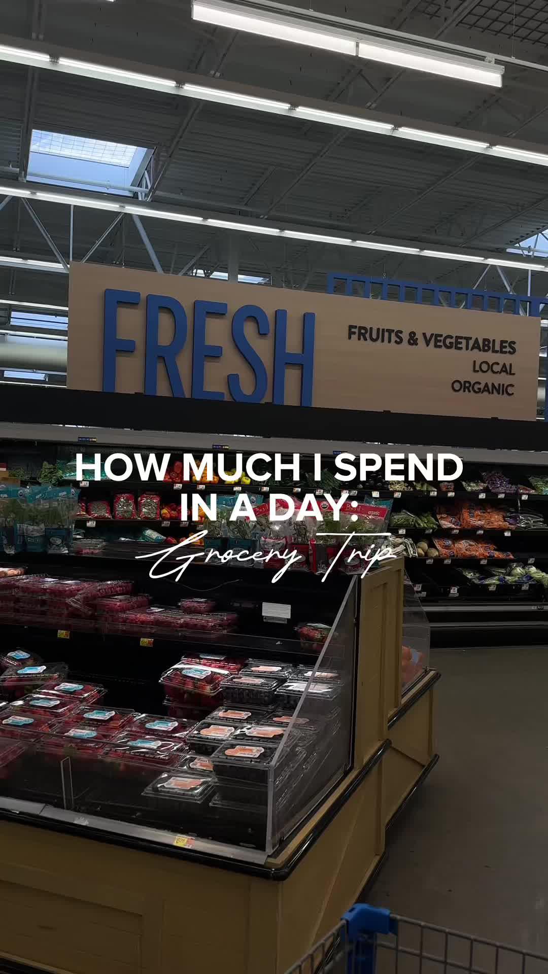 Another day, another grocery trip… here’s how much I spent #fyp #foryoupage #grocerytrip #grocerystore #howmuchispendinaday #howmuchispend #whatispendinaday #groceries #JowDown #jowapp #groceryshopping #food #foodtiktok #foodtok #deliciousrecipes