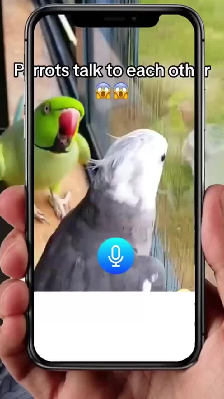 Quickly translate text into 100+ languages!