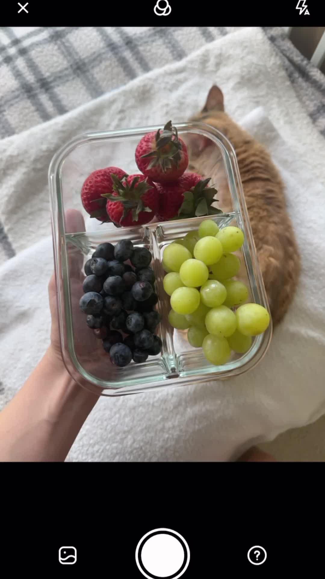 Revolutionize Your Health Journey!