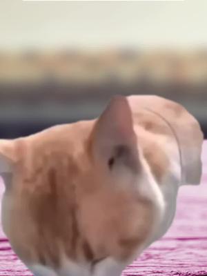 Yeni Müşterilere Özel Faizsiz 30.000 TL Fırsatı QNB Finansbank'ta!