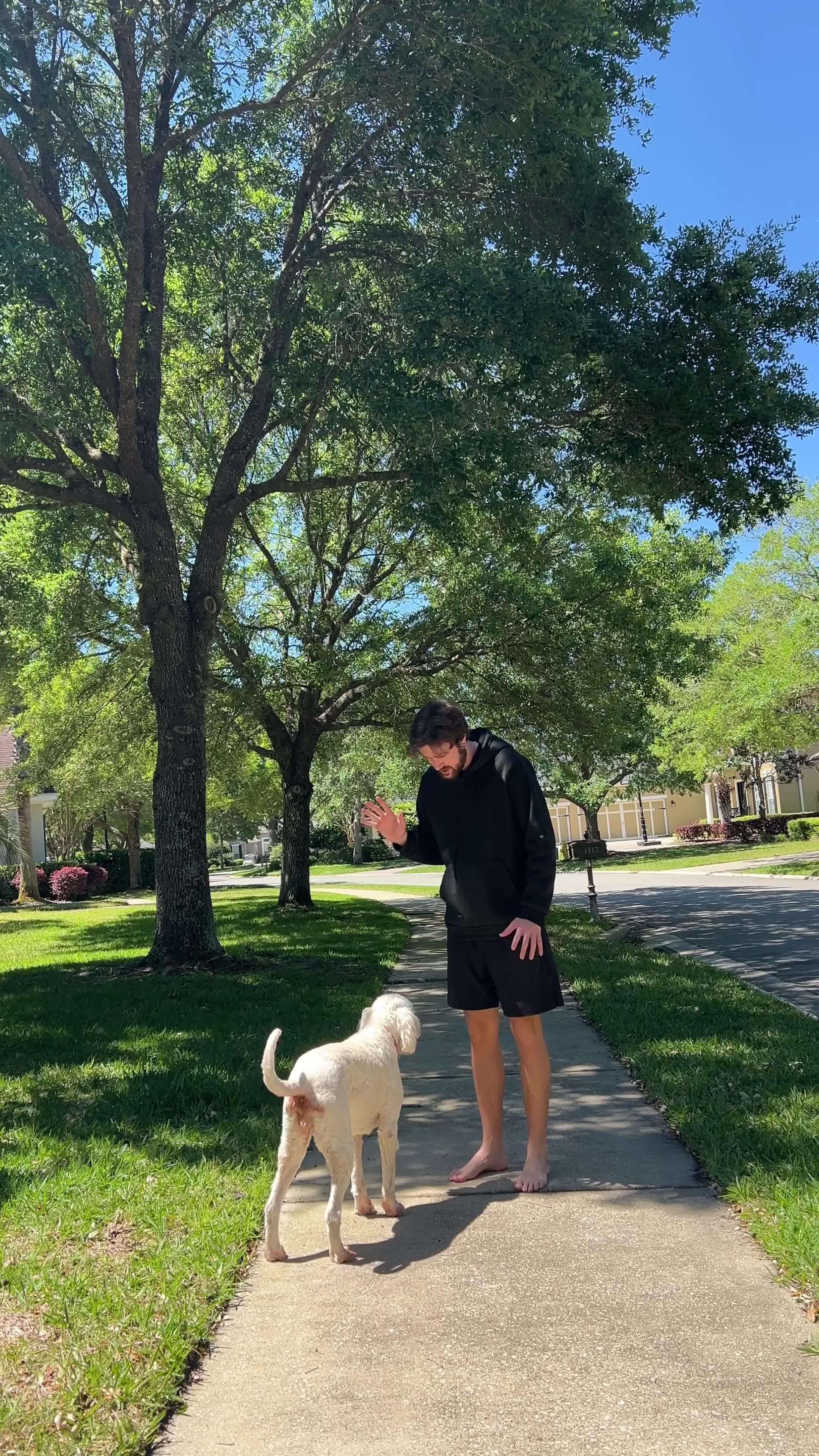 Elevate Your Pup's Skills in days!