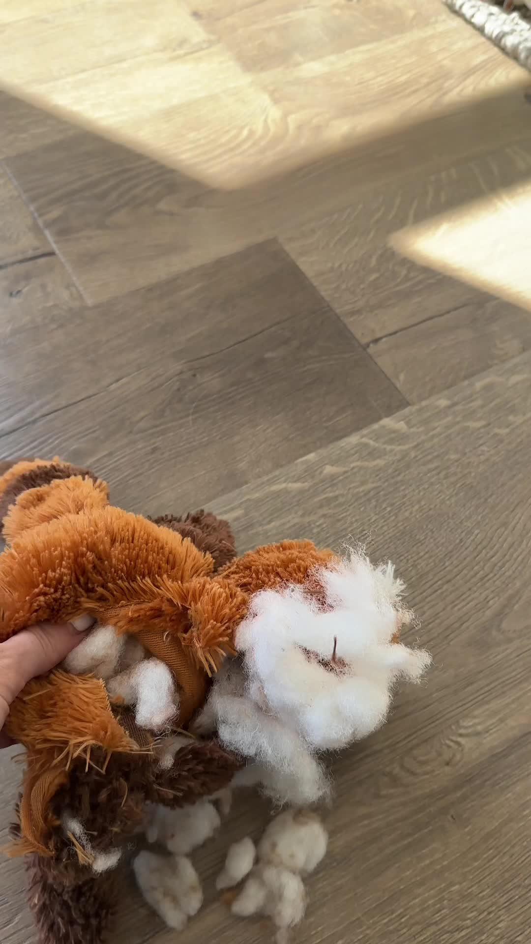 Transform your dog's behavior in days!