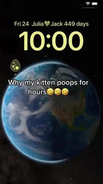 I love co-raising pet with my boyfriend. #imopet  #widgetpet  #imowidgetpet  #imo