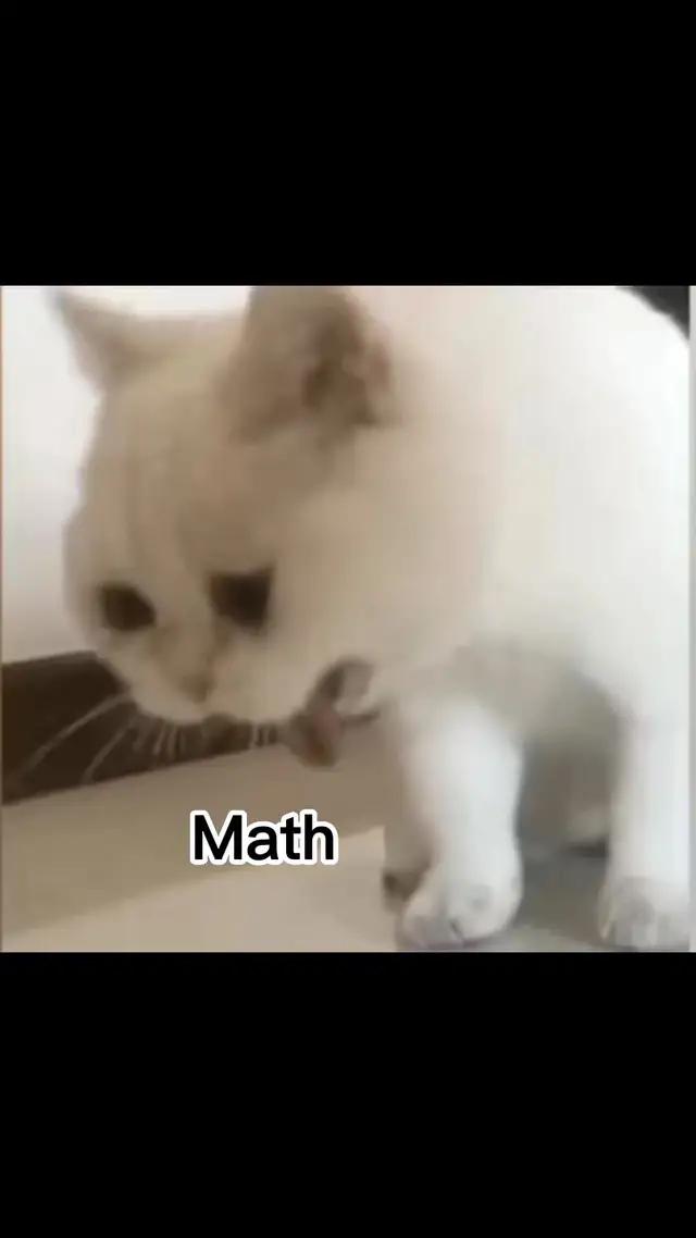 Make Math Simpler,Your Exclusive AI Tutor.