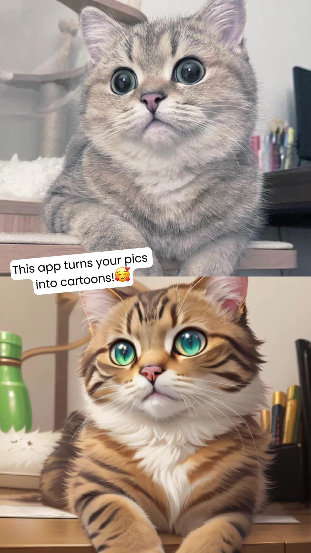 Try the new Cartoon Filters trend now!