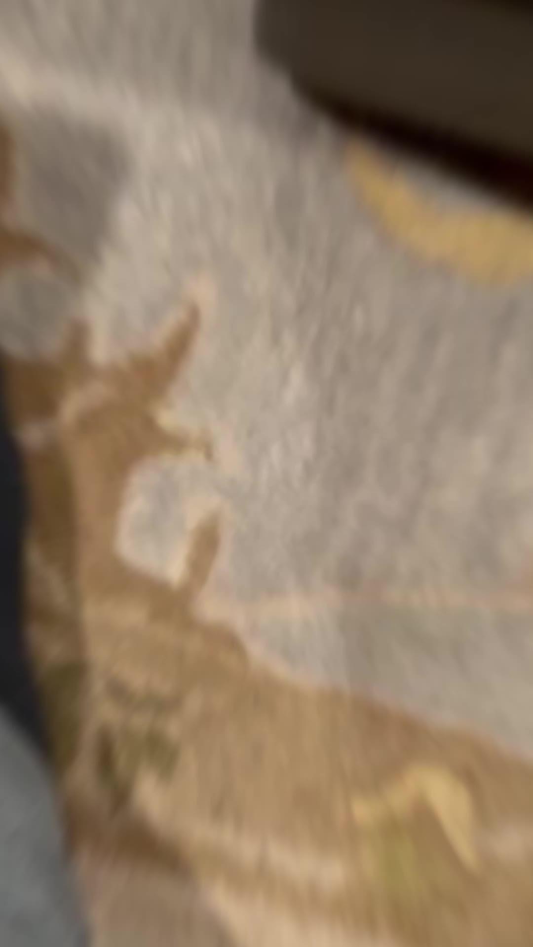 Test your eyes and brain now!