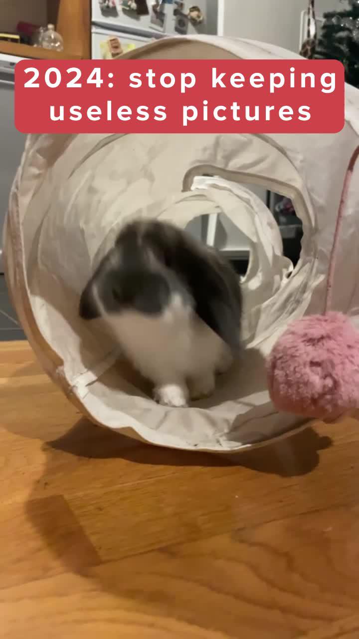 Swipewipe helps you clean up your gallery