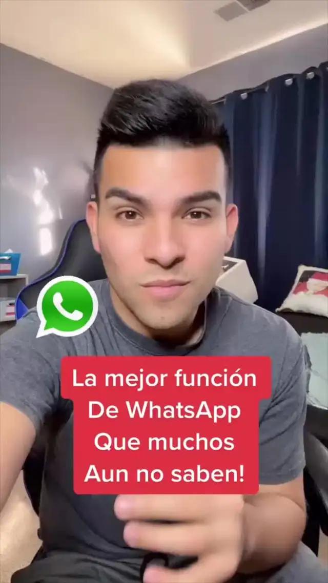 all language translator app