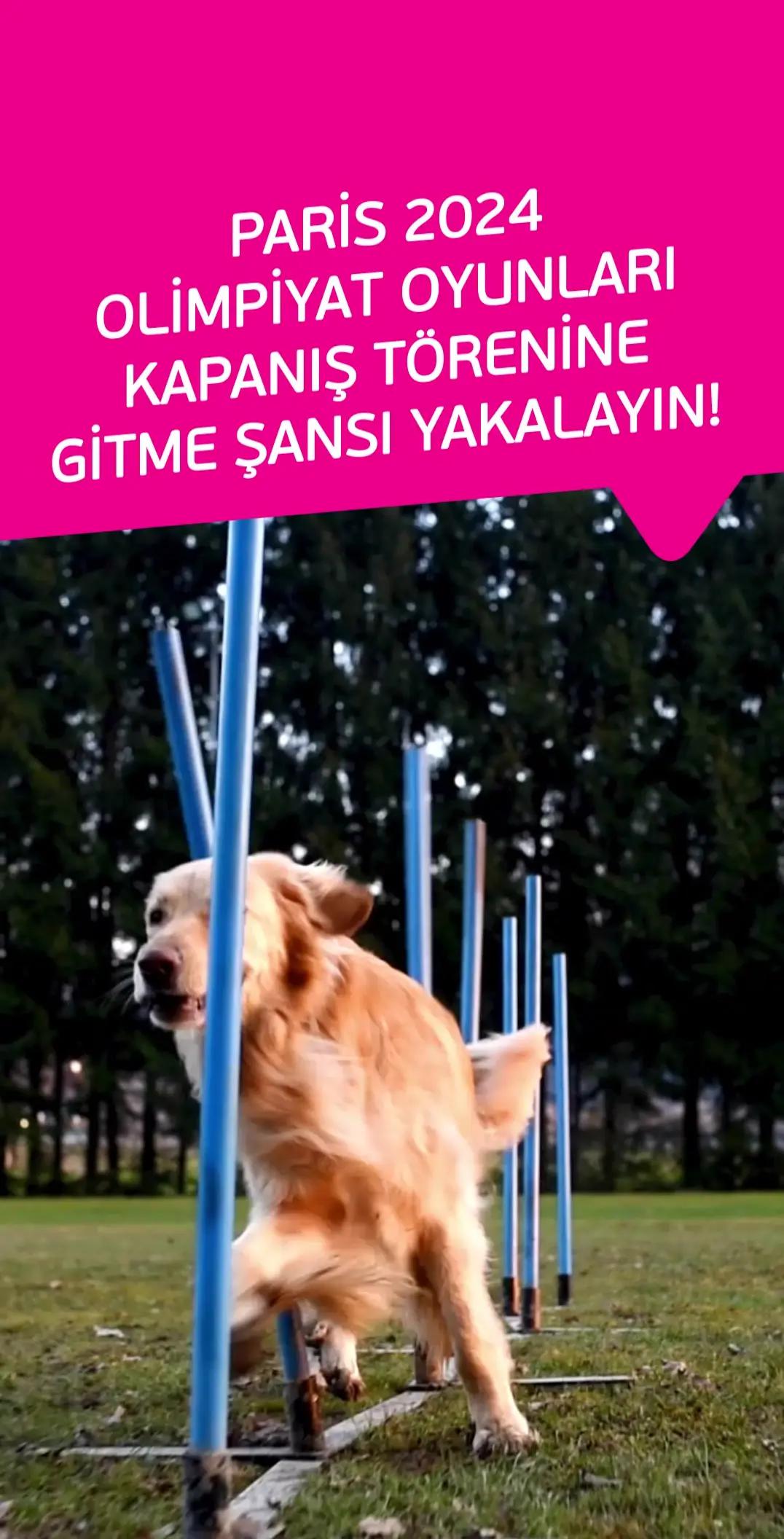 İşCep veya Maximum Mobil’den kampanyaya katılın, 31 Aralık tarihine kadar Visa logolu İş Bankası bireysel kredi kartlarınızla yapacağınız 5.000 TL ve üzeri her alışverişinizde 1 çekiliş hakkı kazanarak Paris 2024 Olimpiyat Oyunları kapanış törenini yerinde izleme fırsatını kaçırmayın.