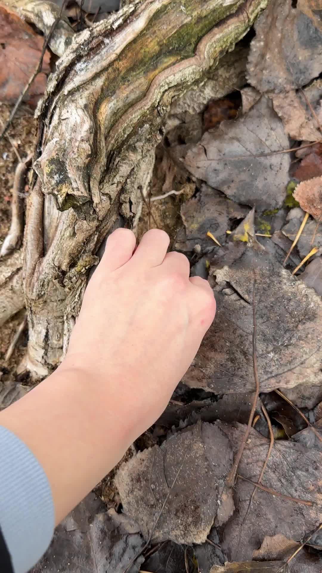 Easily identify any stone or mineral from just a photo