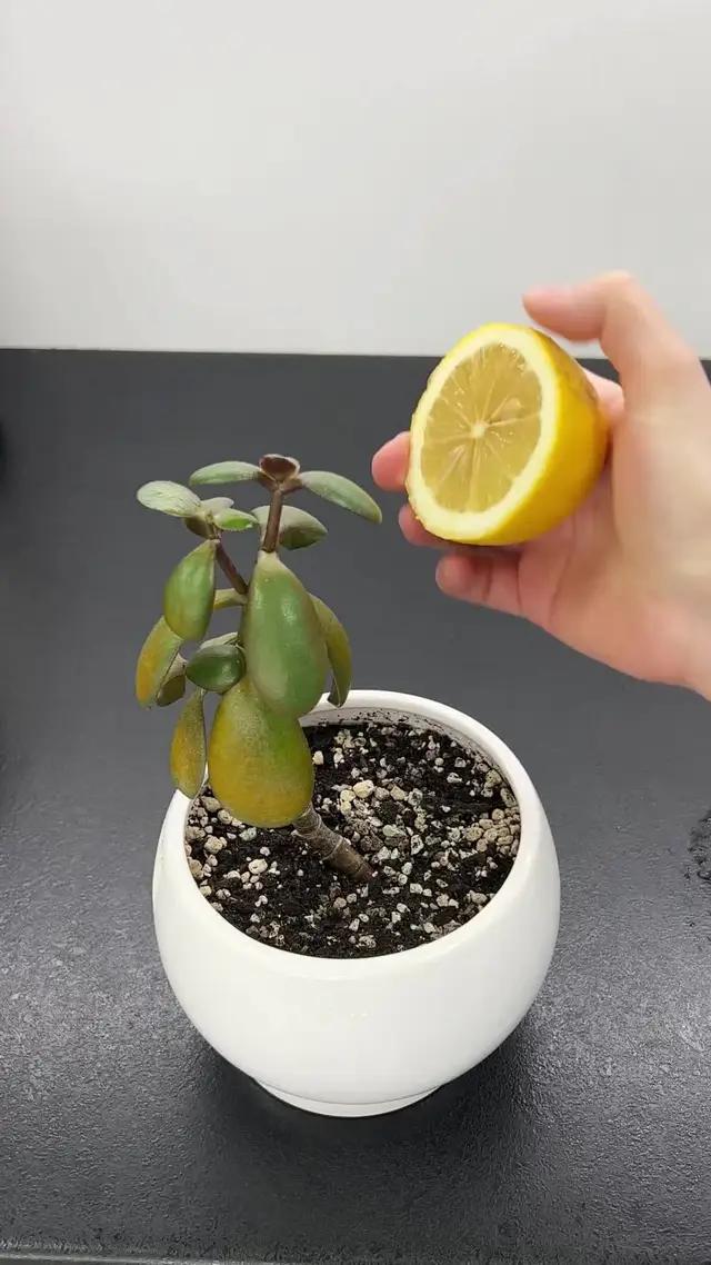 Yeşil yolculuğunuz burada başlıyor! 