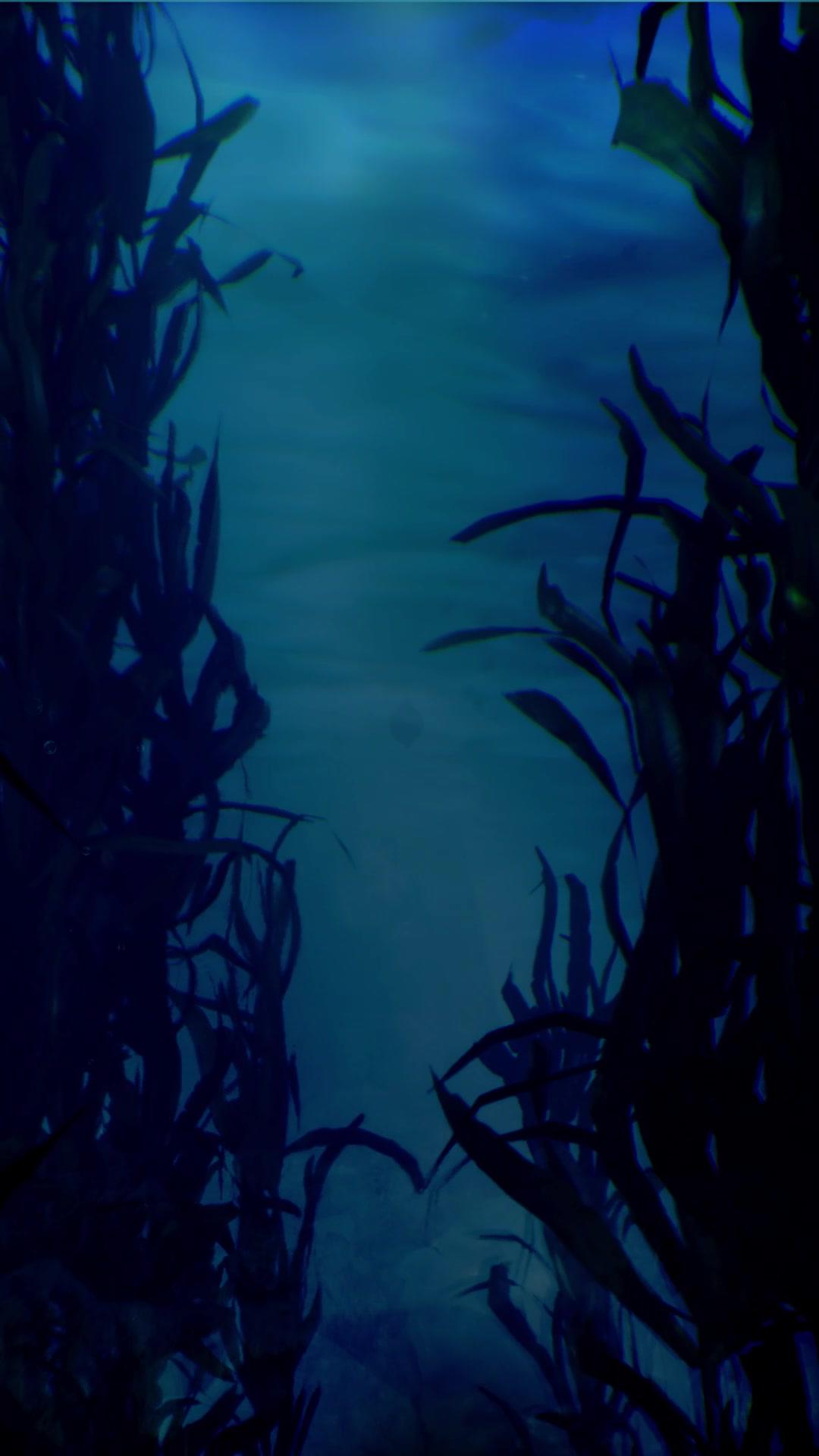 👀 #PokemonGOCommunityDay