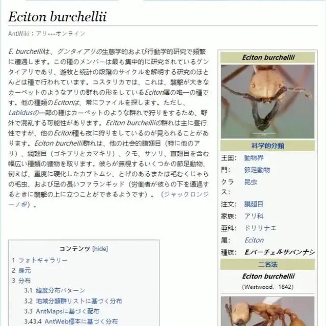 これは蟻族の崛起のだ