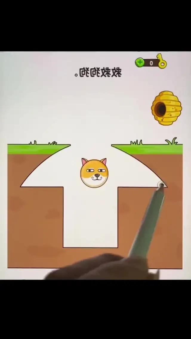 救救狗狗行動，全新關卡，2024大更新