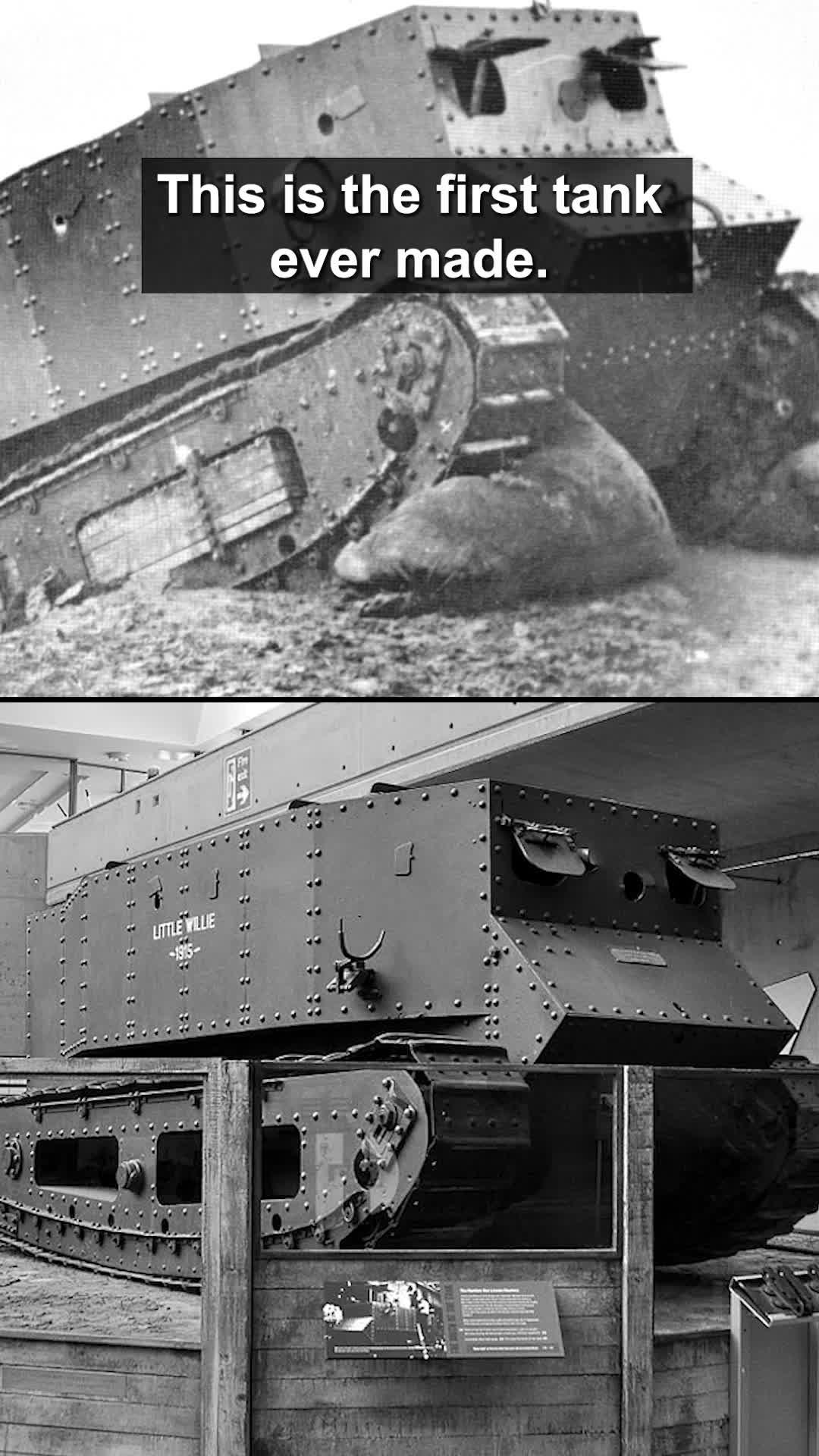 Time to play with your little Willie... in Supremacy 1914! #supremacy1914 #bytro #strategygames #historytok #history #educational #ww1