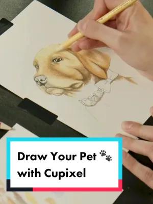 Draw this handsome and distinguished gentleman with guidance from a professional artist on the cupixel app 🐶 #fyp #fy #cupixel #app #petportrait #petportraitart #coloredpencil #realism #art #arttok #artwork #drawing #illustration #experience #augmentedreality #tracing 